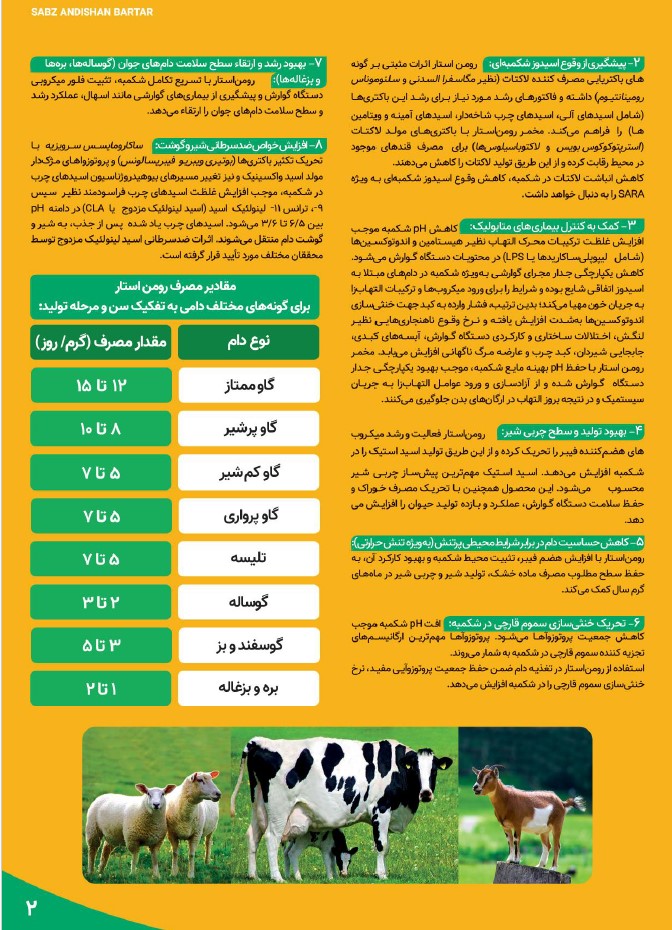 رومن استار 2