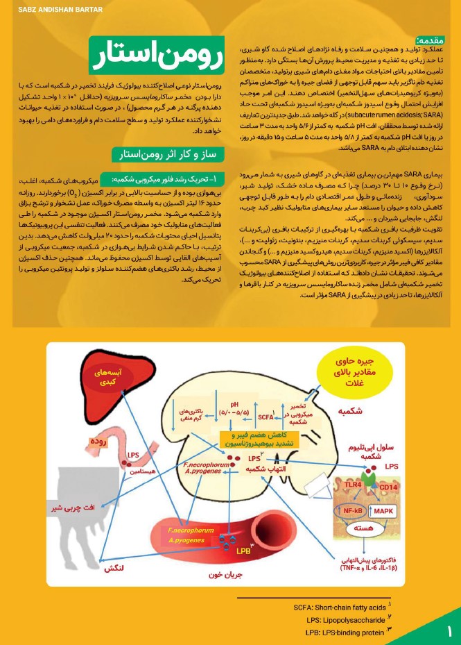 مخمر زنده ویژه نشخوار کنندگان (رومن استار) سبز اندیشان برتر 2 رومن استار